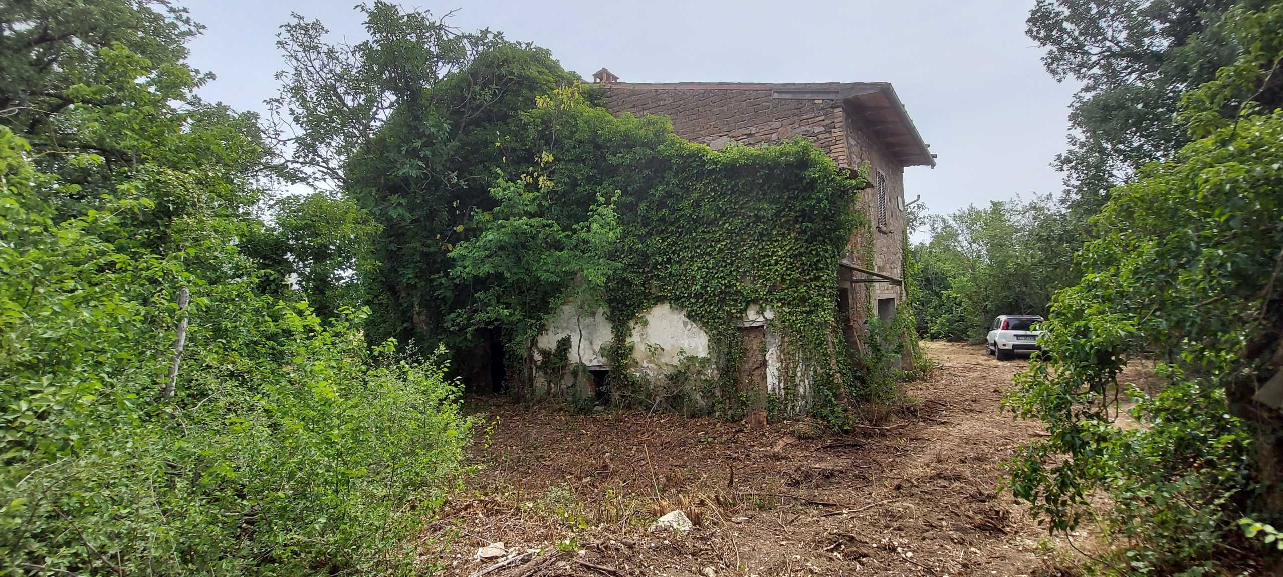  - foto 4