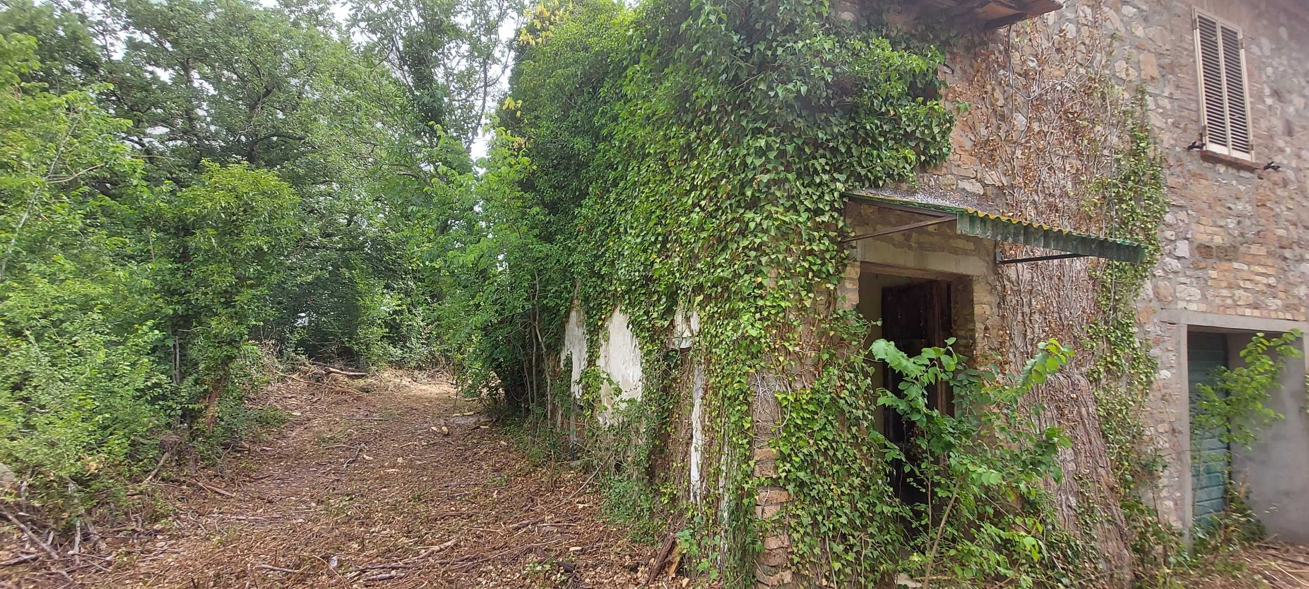  - foto 5