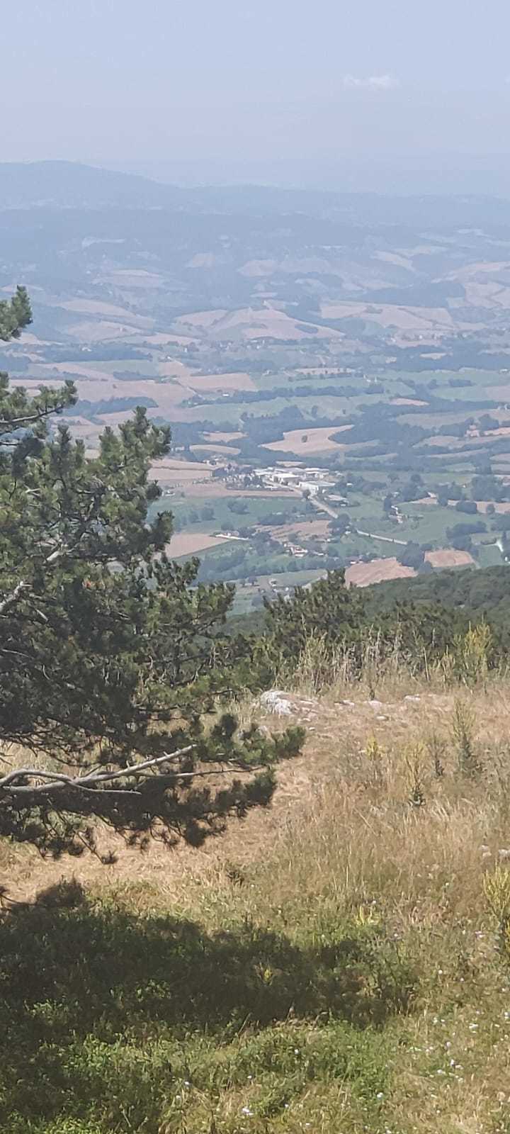  - foto 4