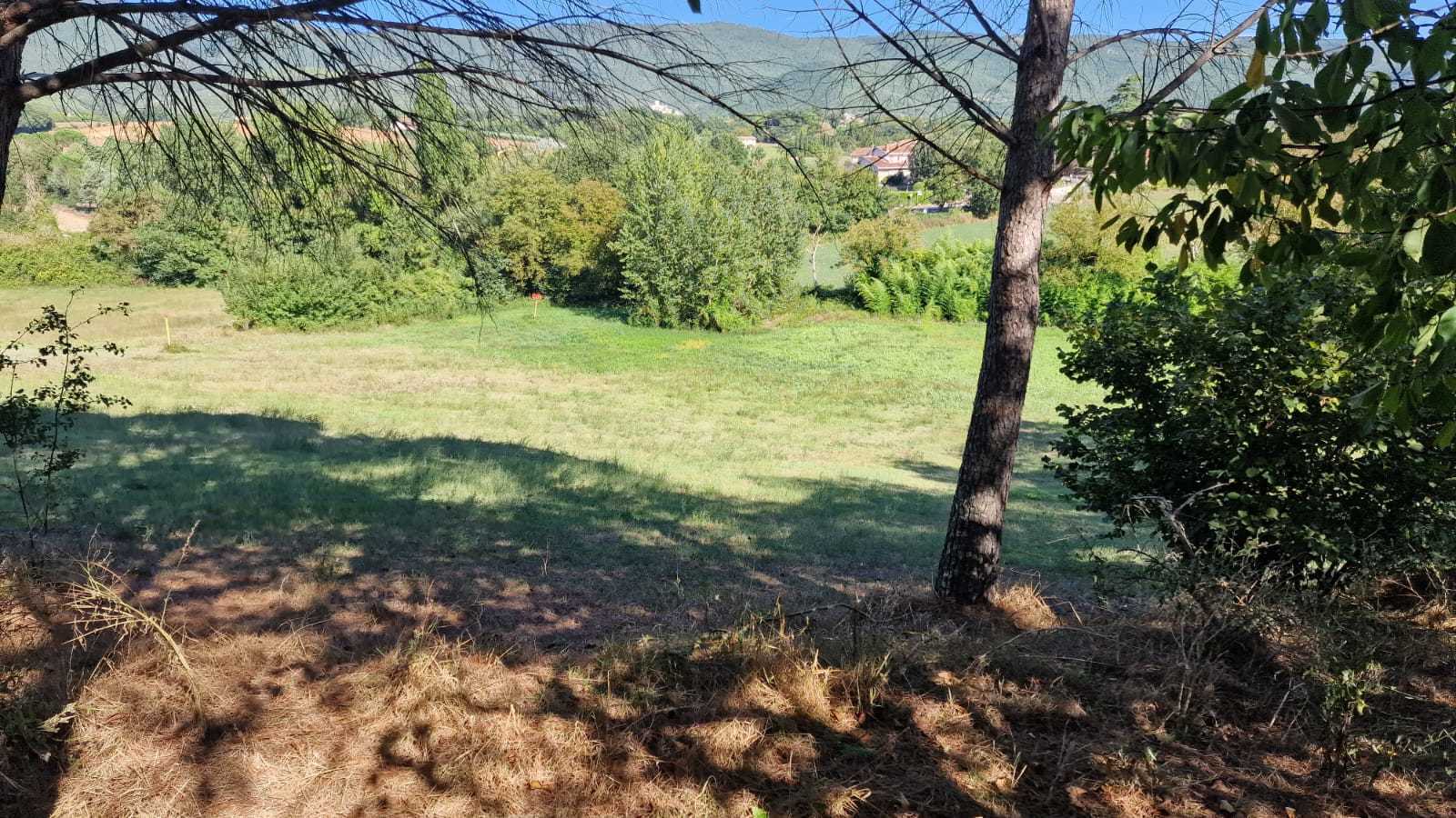  - foto 11