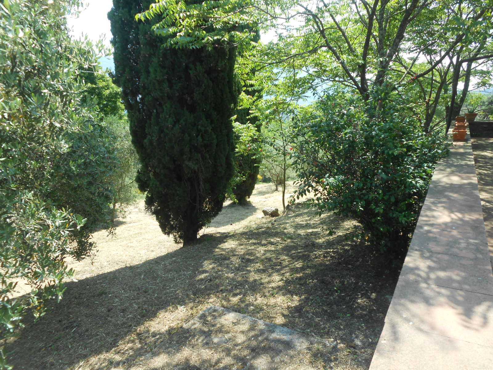  - foto 20