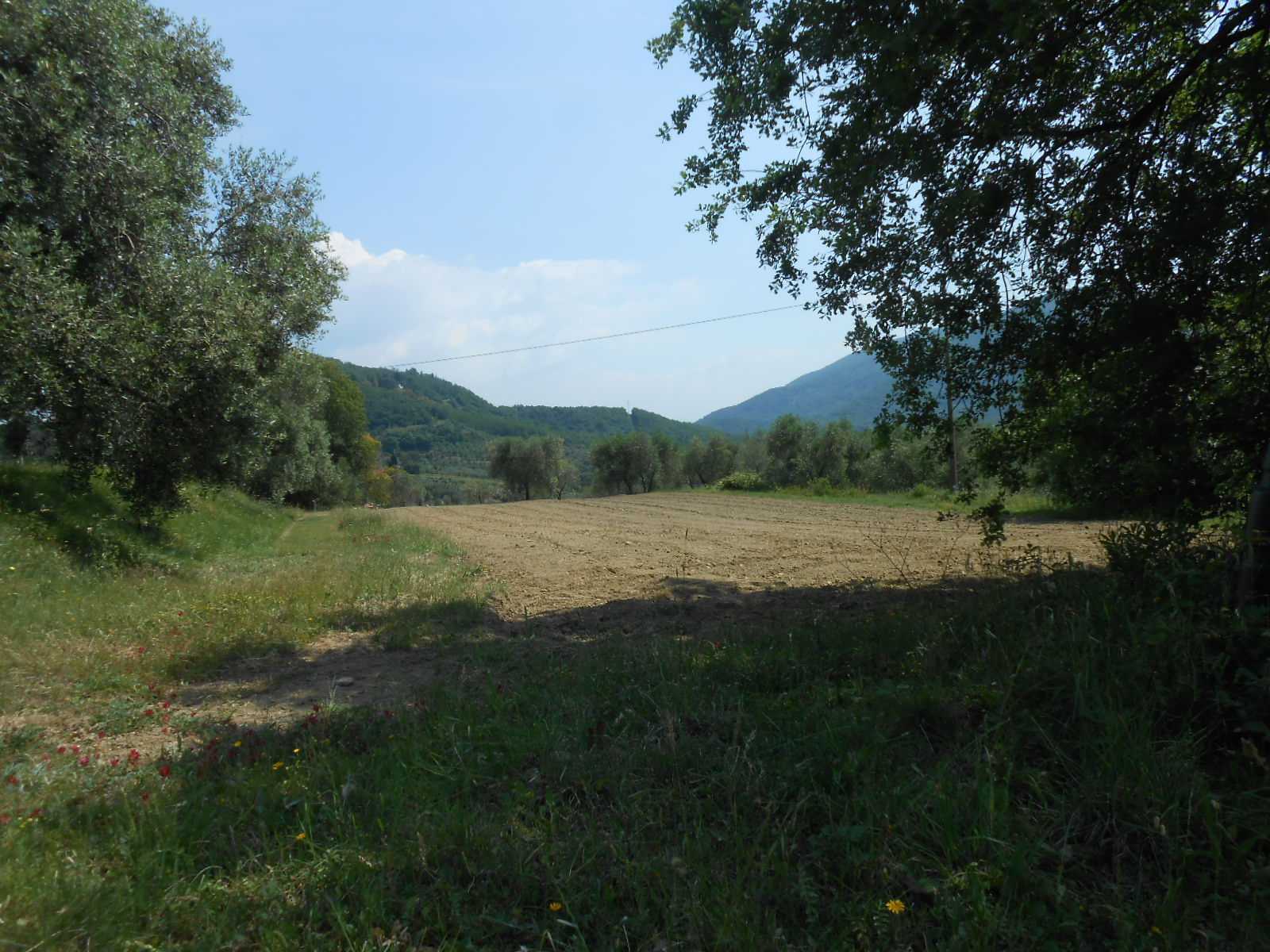  - foto 41