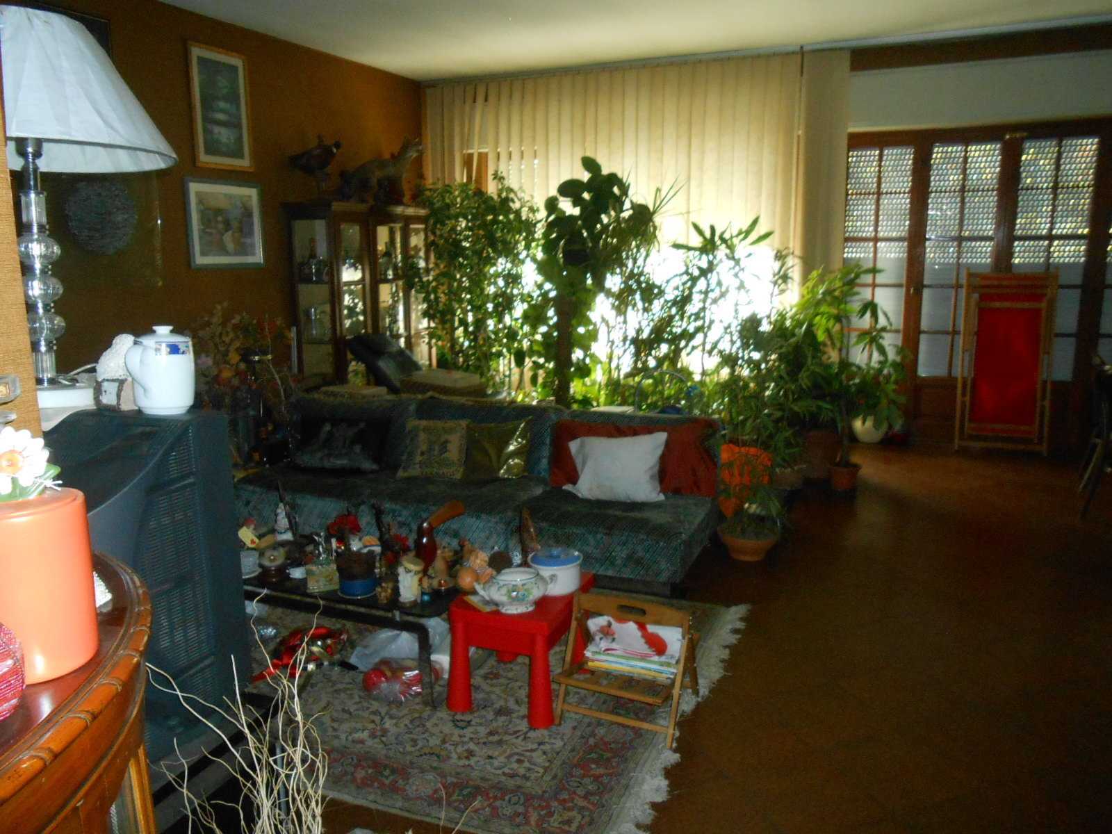  - foto 7
