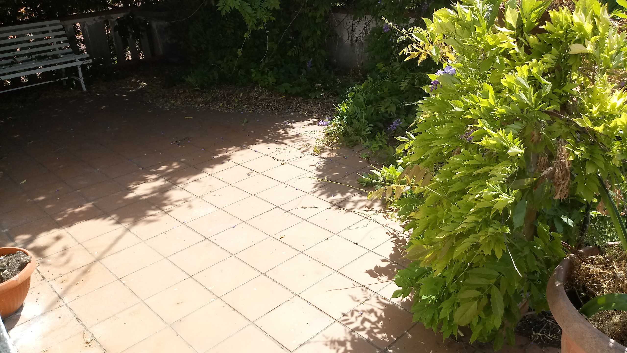  - foto 11