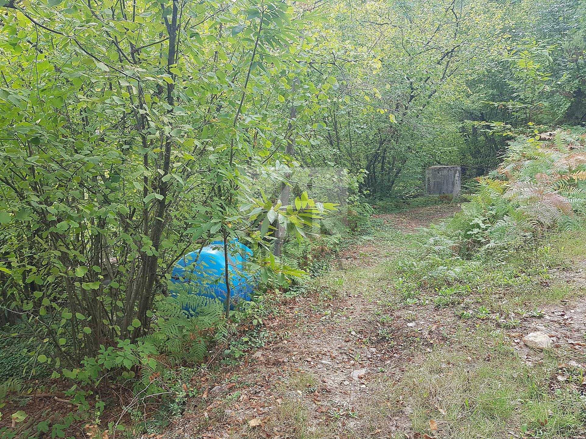  - foto 37