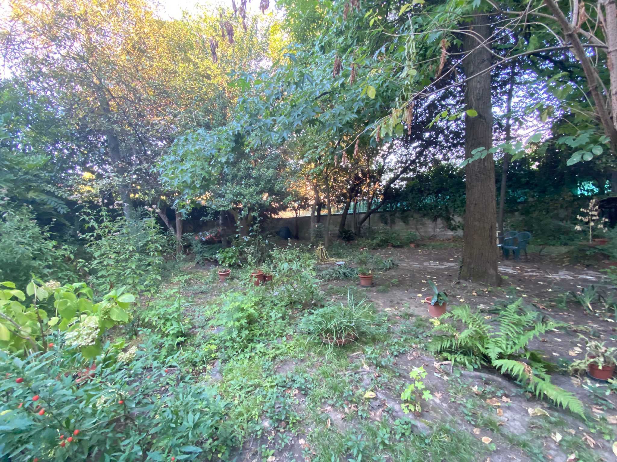  - foto 10