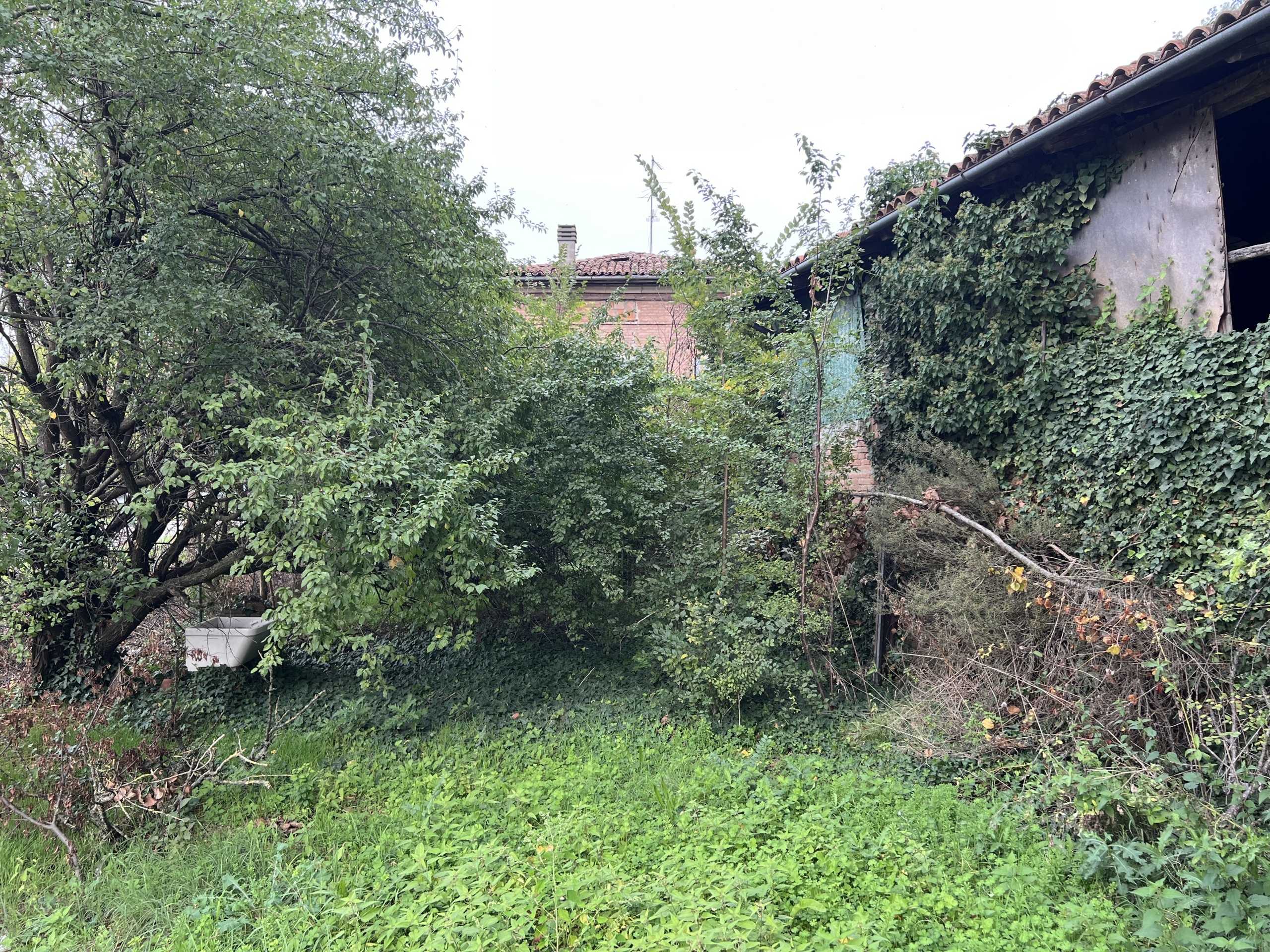  - foto 10