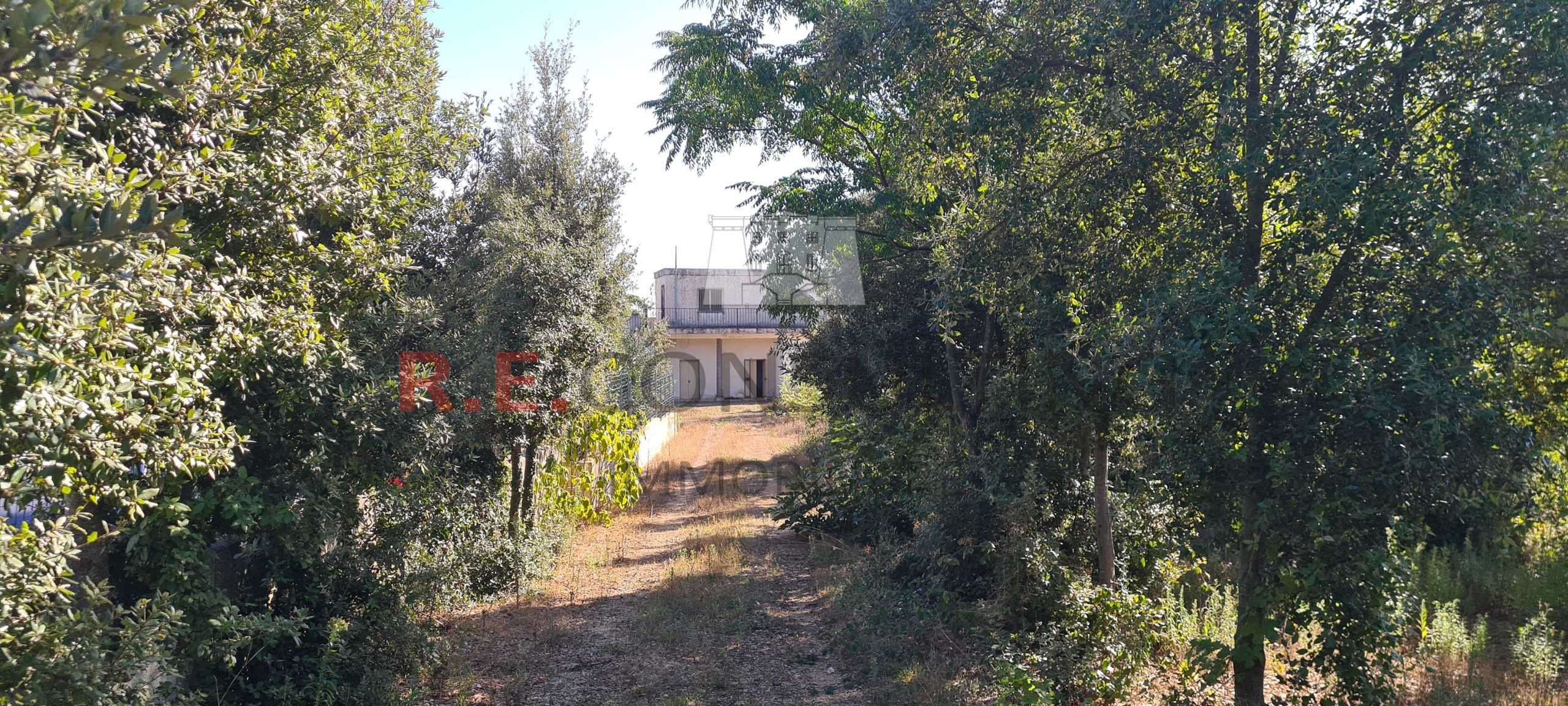  - foto 6