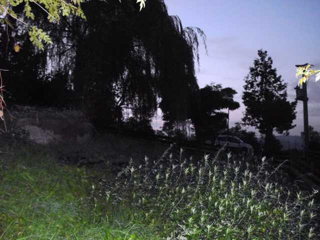  - foto 12