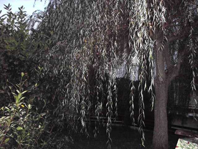  - foto 7