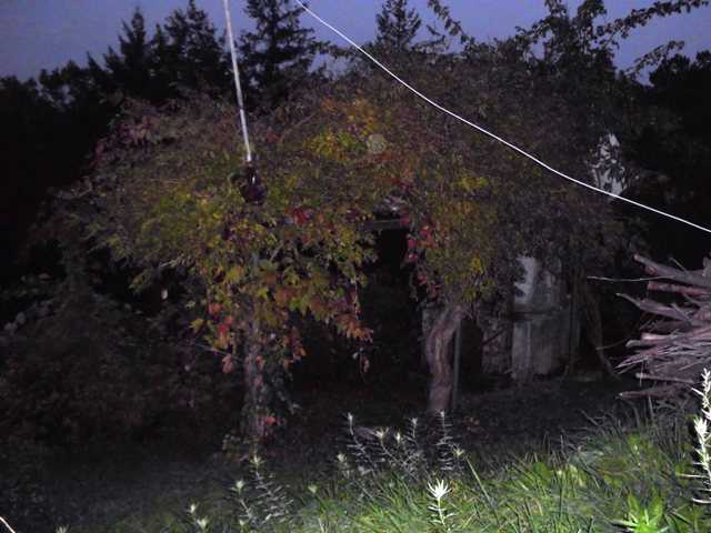  - foto 8