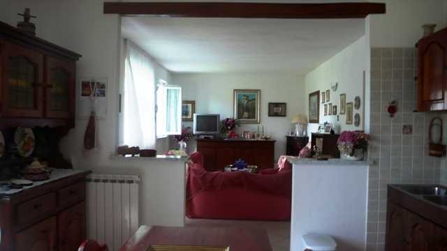  - foto 12