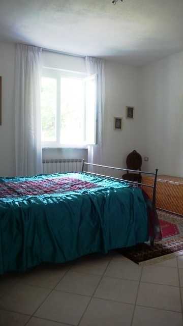  - foto 13