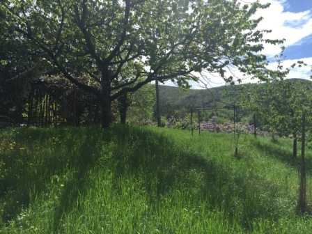  - foto 12
