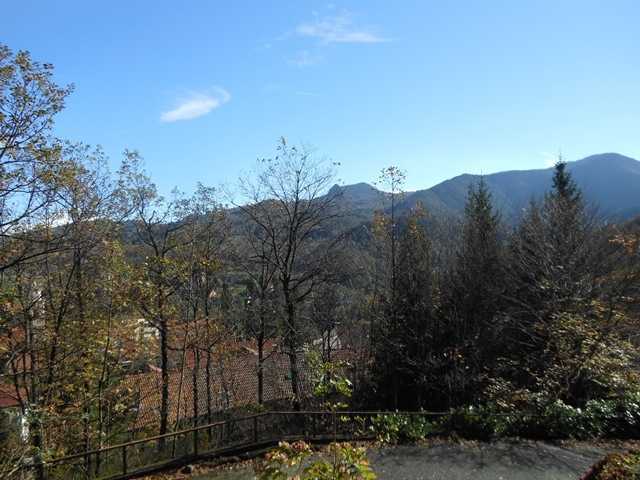  - foto 28
