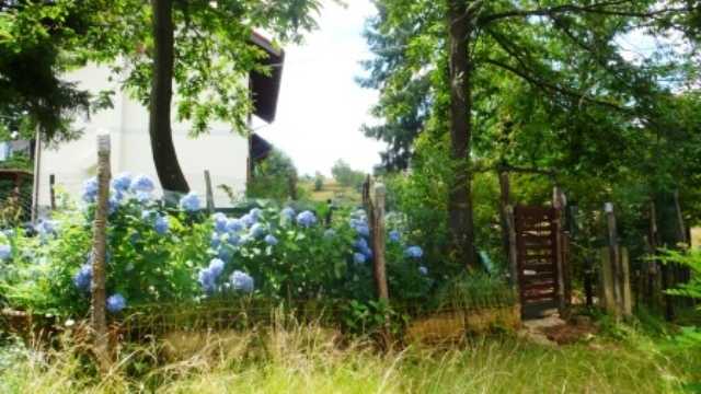  - foto 16