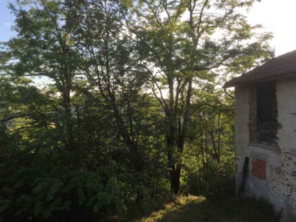  - foto 29