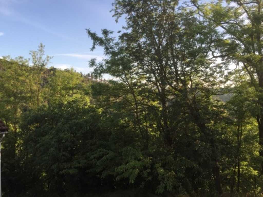  - foto 31