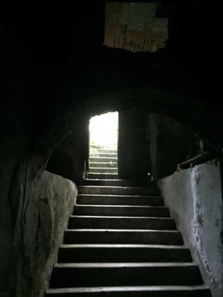  - foto 39