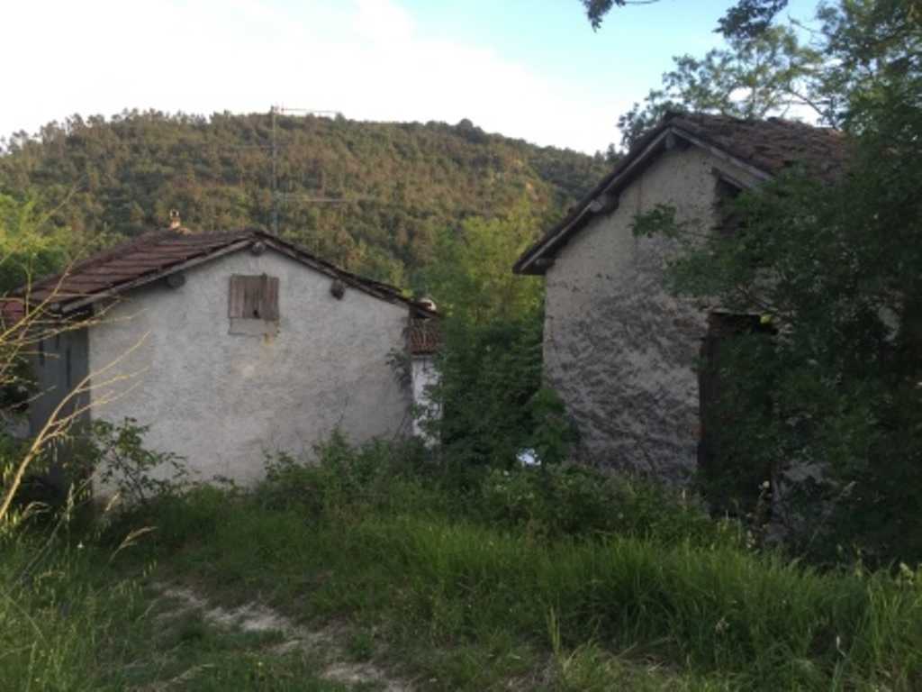  - foto 41