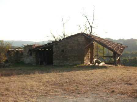  - foto 11