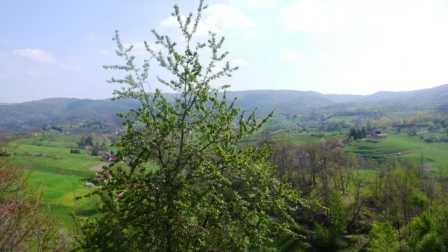  - foto 17