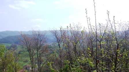  - foto 23