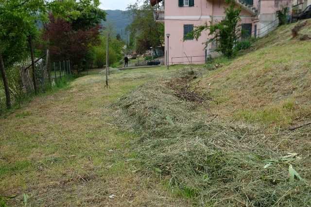  - foto 11