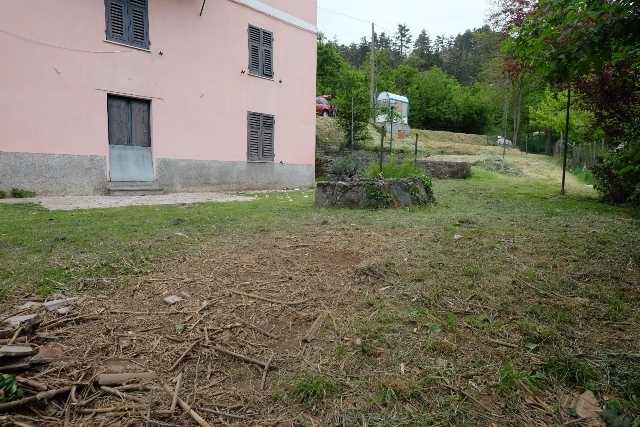  - foto 13