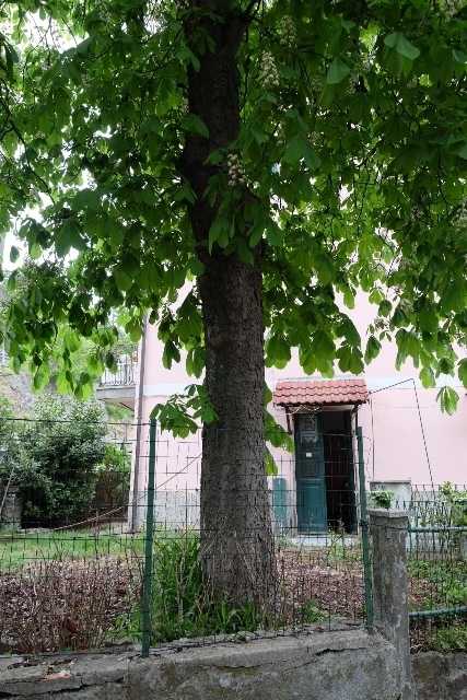  - foto 18
