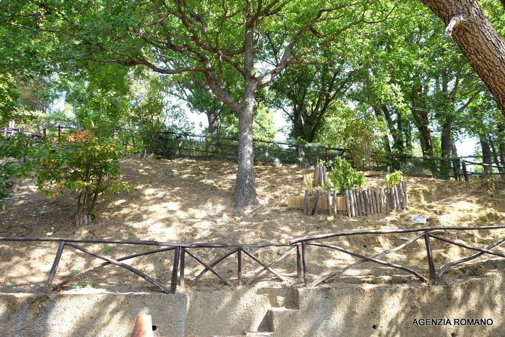  - foto 12