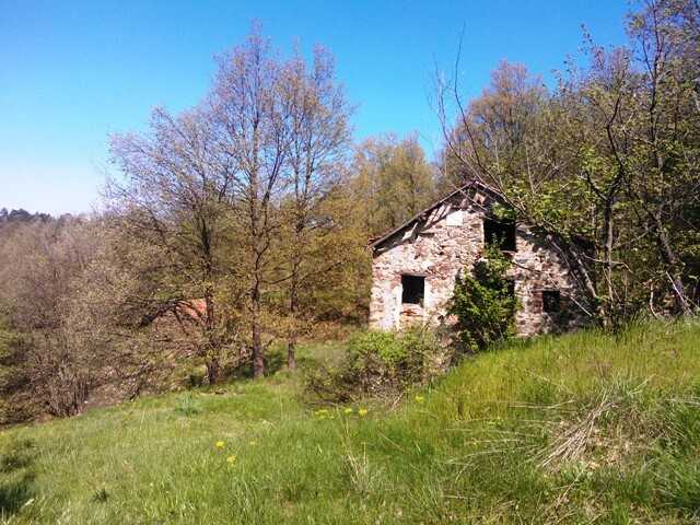  - foto 11