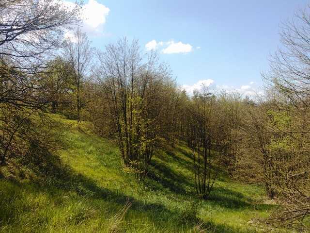  - foto 12
