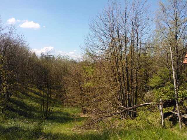  - foto 13