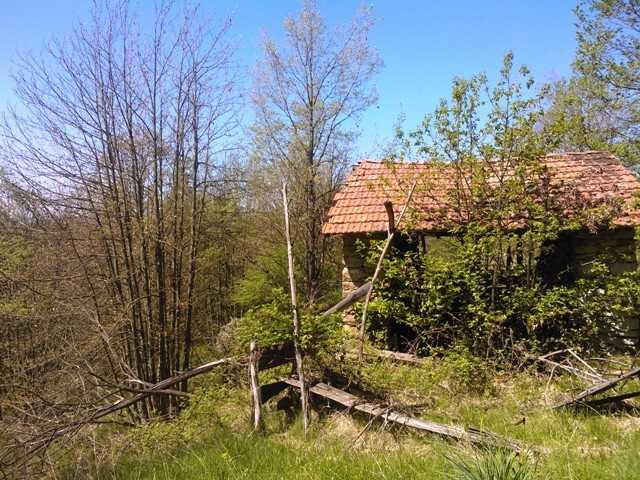  - foto 14