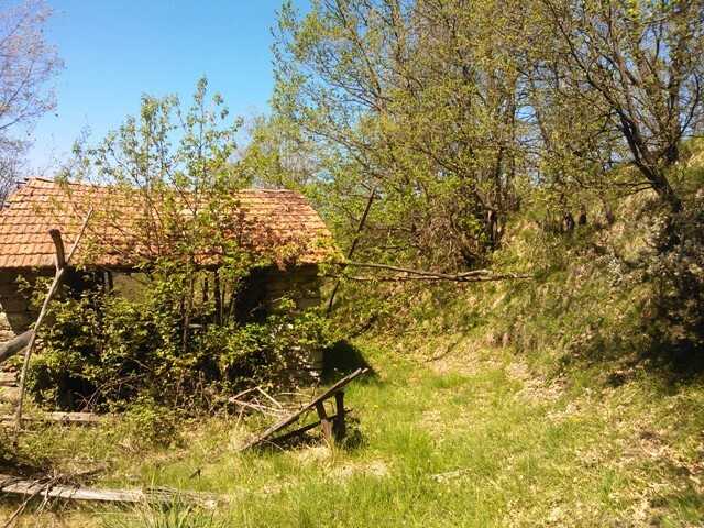  - foto 15