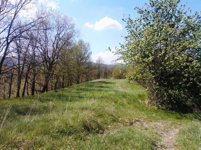  - foto 18