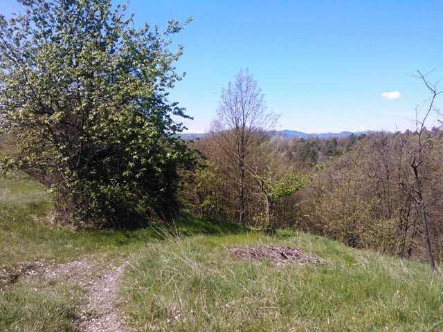  - foto 19