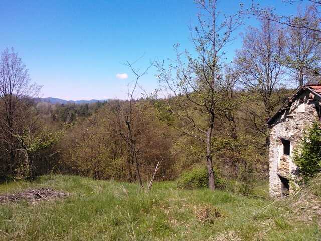 - foto 8