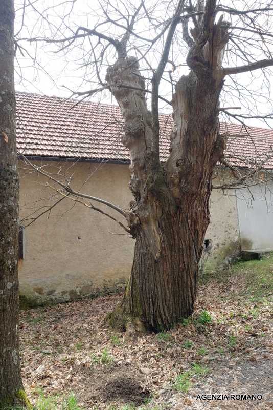  - foto 6