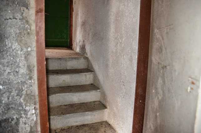  - foto 13
