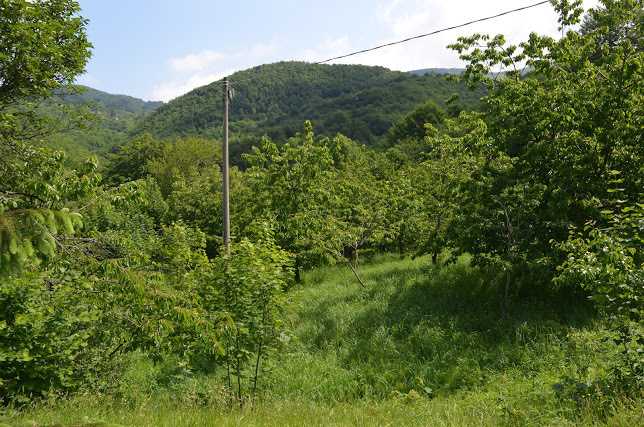  - foto 41