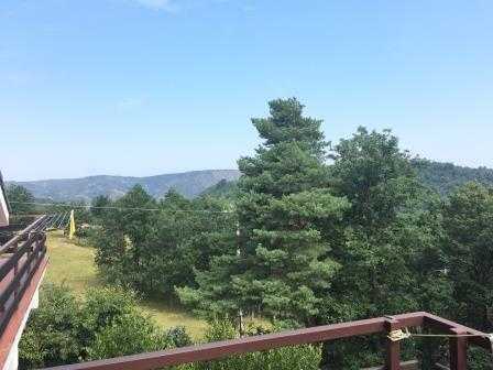  - foto 17