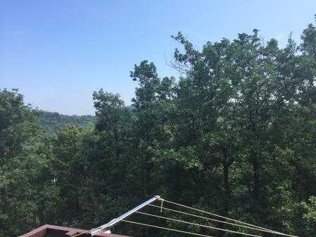  - foto 18
