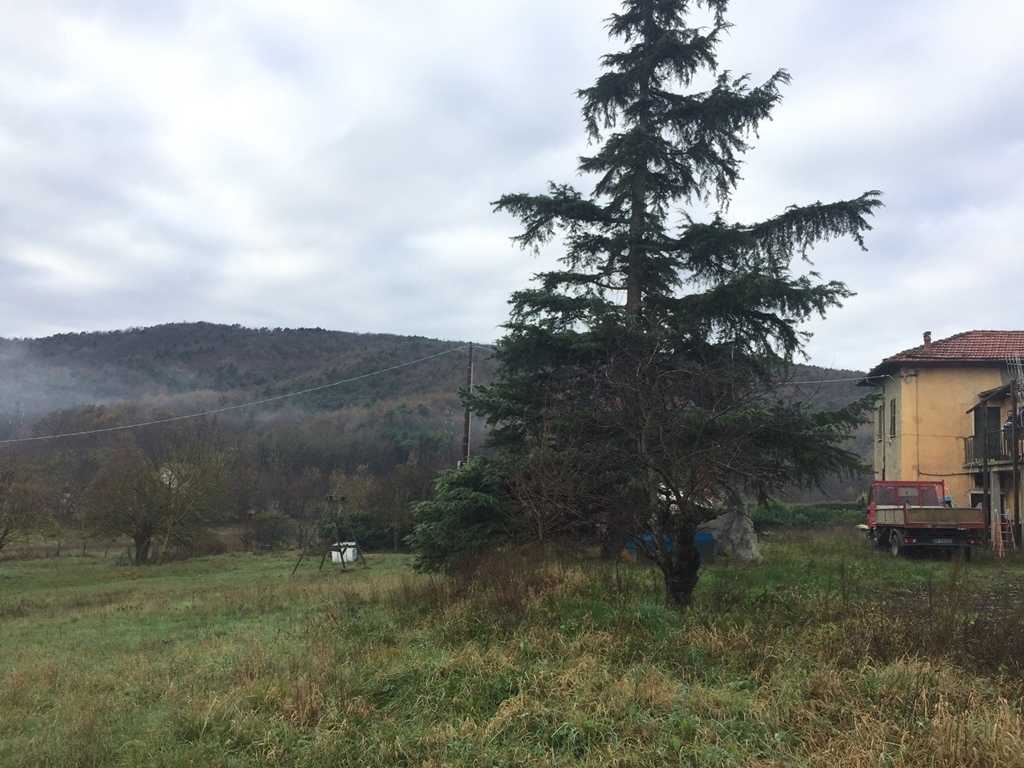  - foto 16