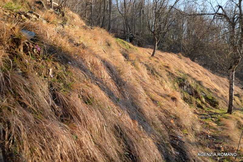  - foto 20