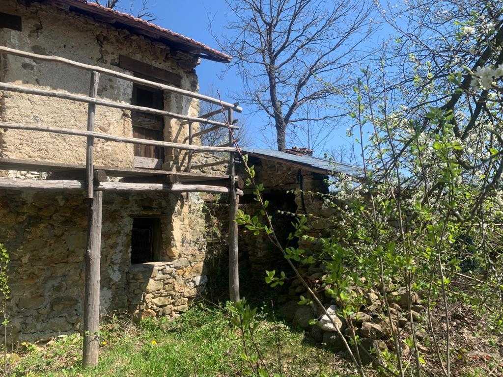  - foto 19
