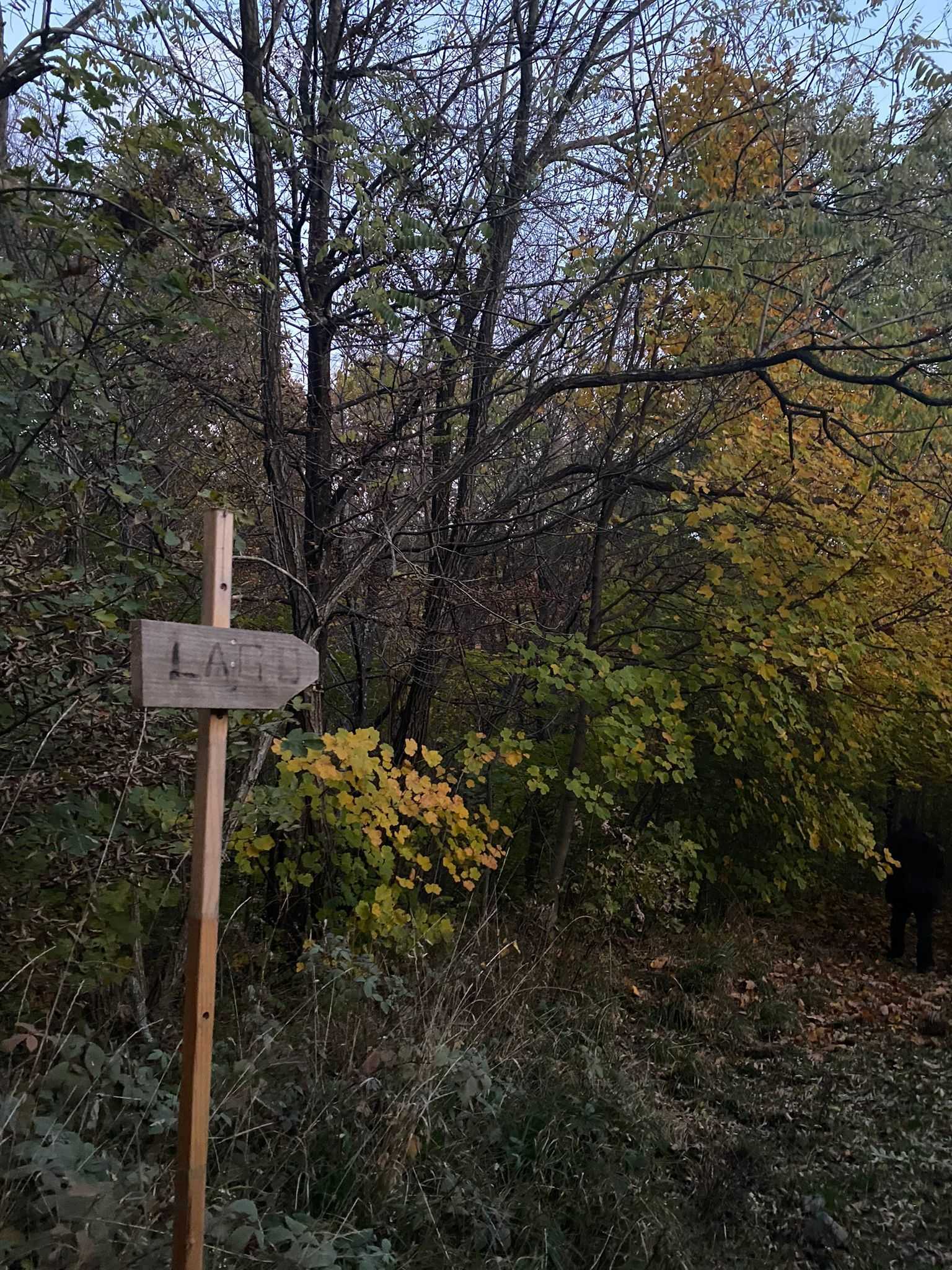  - foto 26