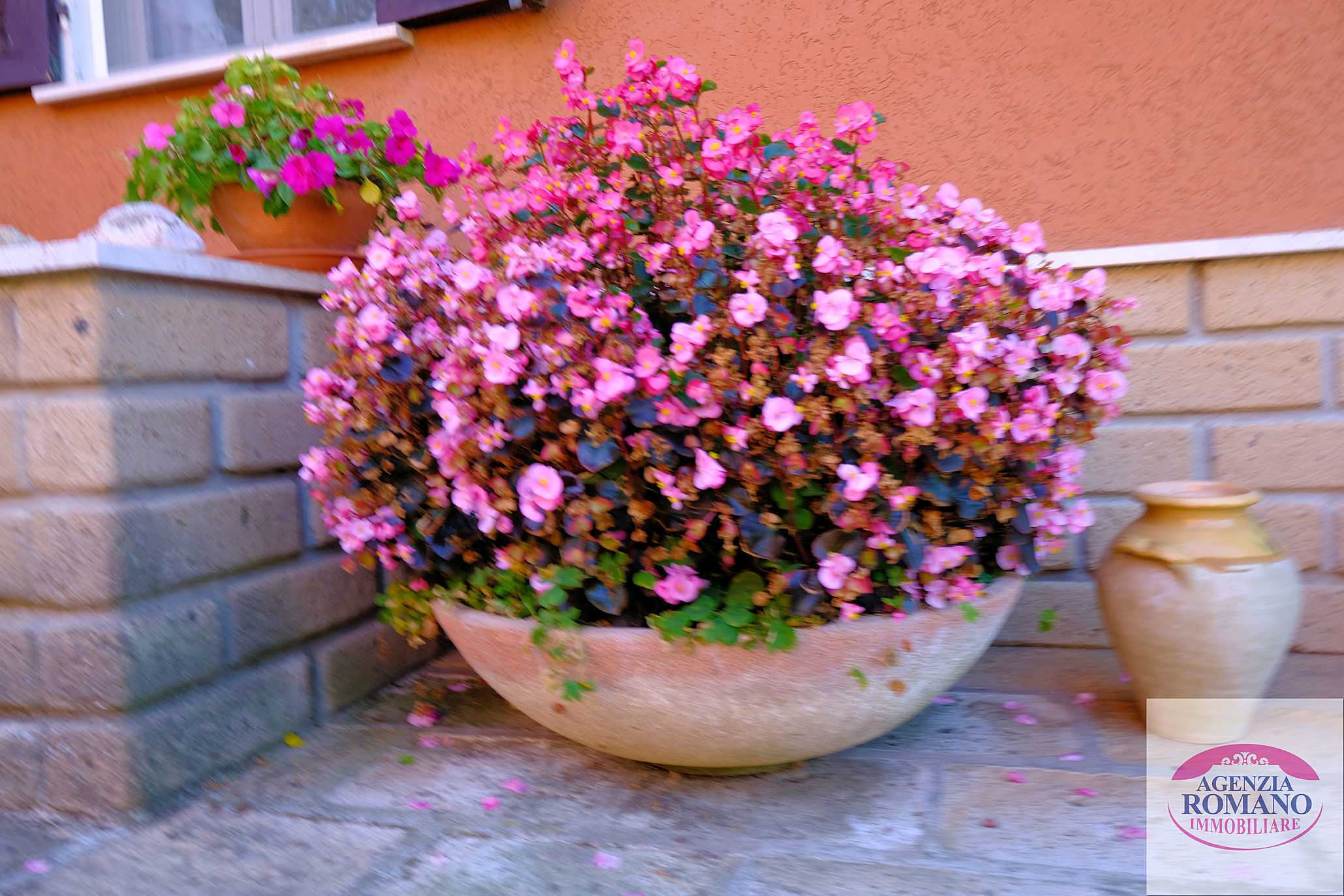  - foto 7