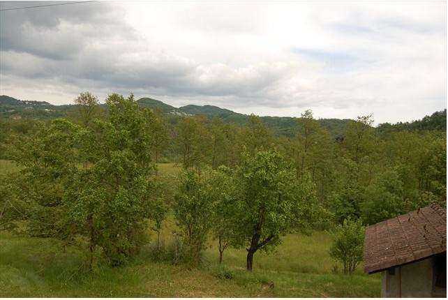 - foto 21